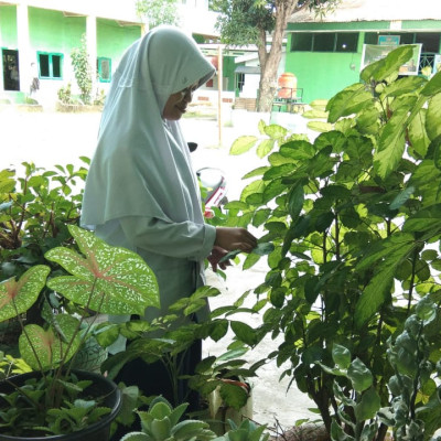 Tanamkan Nilai Cinta Lingkungan Siswa MTs Muhammadiyah Bulukumba Aplikasikan dengan Menanam Bunga