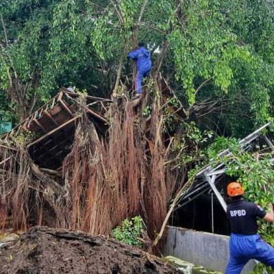 Beringin Tumbang Robohkan Rumah Pohon Sispala MAN 2 Kota Parepare