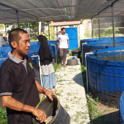Dukung Program Prioritas Kementerian Agama, Kepala MTs PP Babul Khaer Budidaya Ikan Lele di Pesantren
