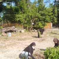 Bersihkan Lingkungan Sekolah, OSIM MAN 2 Gelar Bakti Madrasah