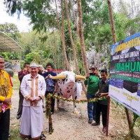 Launching Proyek Perubahan , Kakanwil Kemenag Sulsel Puji Kakankemenag Tator