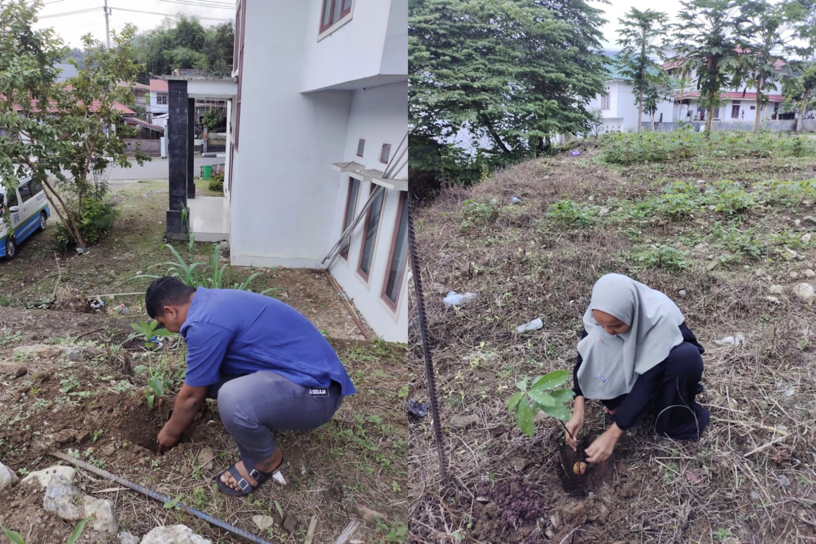 Calon pengantin Mahlon Bernando Situmeang dan Siti Sulaeman menanam bibit pohon sebagai bagian dari bimbingan perkawinan berbasis ekoteologi di KUA Makale