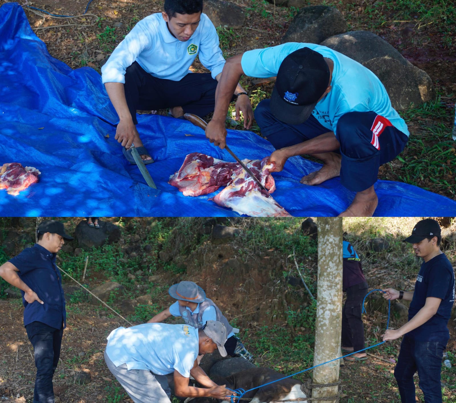 Suasana khidmat pemotongan hewan qurban