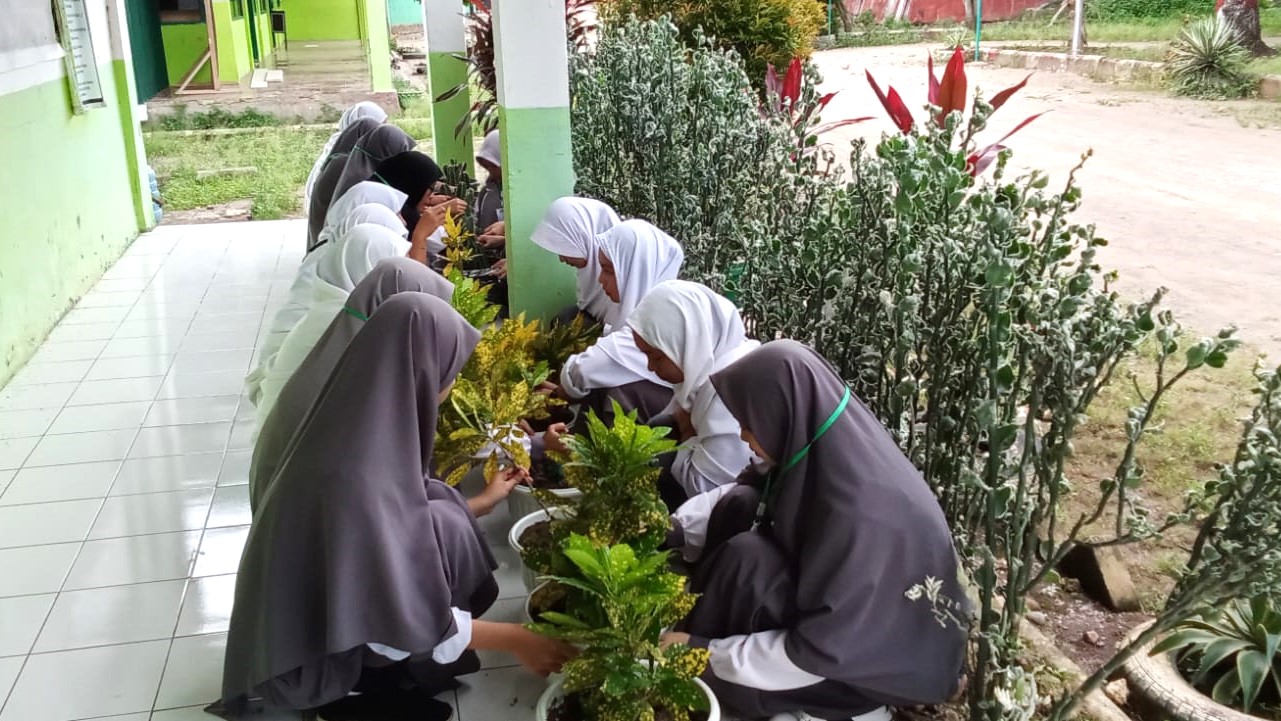 Tampak siswa putri kelas XII MAS Darl Istiqamah Bulukumba Lakukan Penenaman Bunga di Lingkungan Madrasah