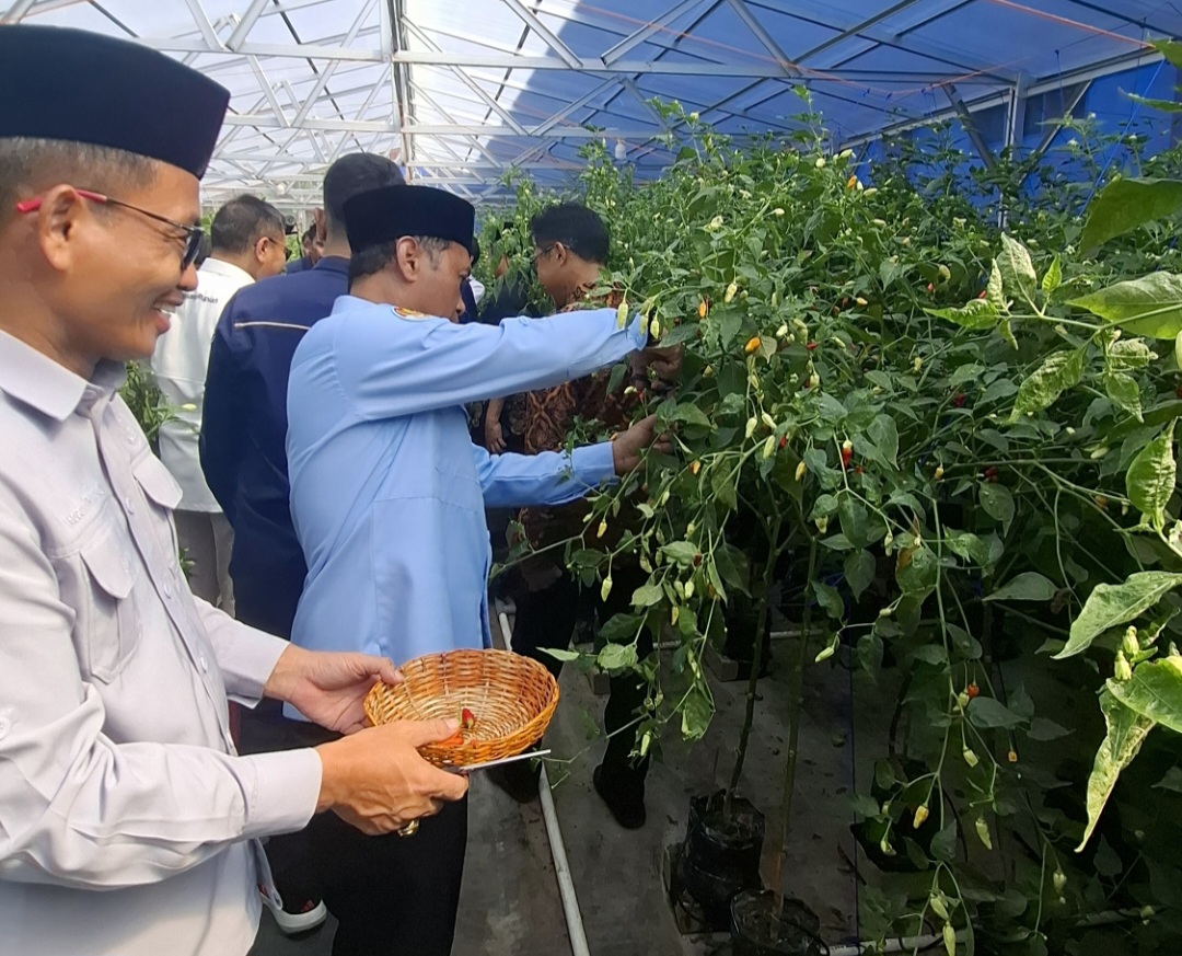 Kakankemenag Kota Makassar H.Irman turut andil dalam Panen Raya Cabai