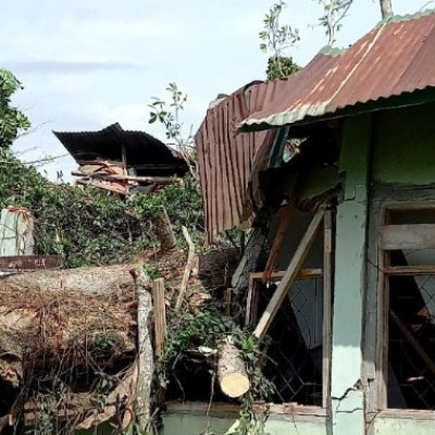 Pohon Tumbang Hancurkan Ruang Kelas MTs Muhammadiyah Kajang