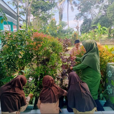 Keren, MTsN 6 Bulukumba Menuju Sekolah Adiwiyata