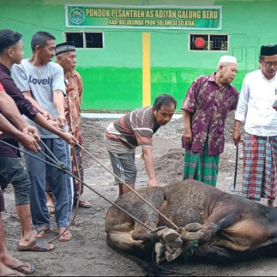 Ponpes As’adiyah Galung Beru Gelar Pemotongan Hewan Qurban