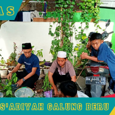 Santri Ponpes As’adiyah Galung Beru Lestarikan Tanaman Herbal Alami