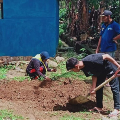 Pupuk Persahabatan Dengan Alam, PMR MA Tengah Lembang Ciptakan Apotik Hidup