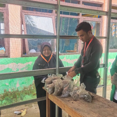 Ciptakan MIN 1 Bulukumba Bersih dan Hijau, KKLP STAI Al-Gazali Bulukumba Edukasi GreenHouse