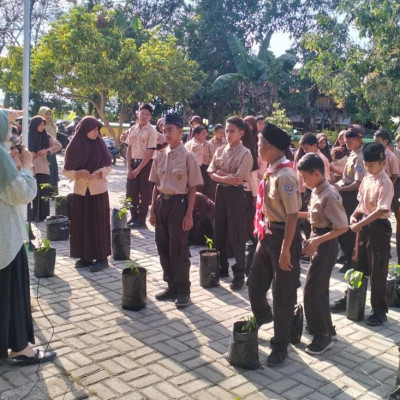 Generasi Hidroponik Tajuk P5PPRA di MTsN 6 Bulukumba