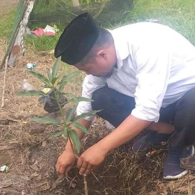 Hijaukan Lingkungan Madrasah, Kamad MIS Darul Istiqamah Bulukumba Lakukan Penanaman Pohon Mangga