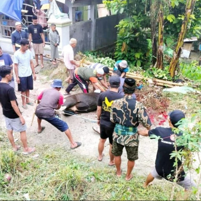 Pererat Kerukunan, Non Muslim dan Pengurus Gereja terima Daging Kurban dari Masjid Tertua di Toraja