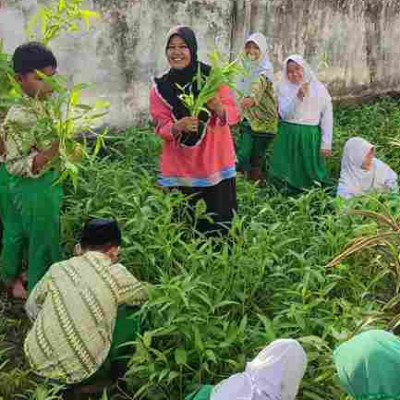 Siswa MIN Pinrang Panen Perdana Kangkung Hasil dari P5RA