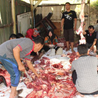 Kemenag Soppeng Sembelih 4 Ekor Sapi Qurban