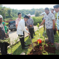 KA KANWIL TANAM POHON DI MAN IC GOWA